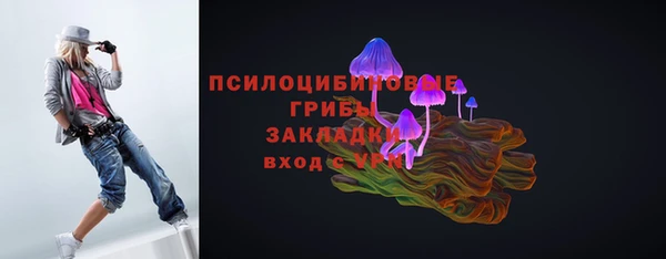 МДПВ Карпинск