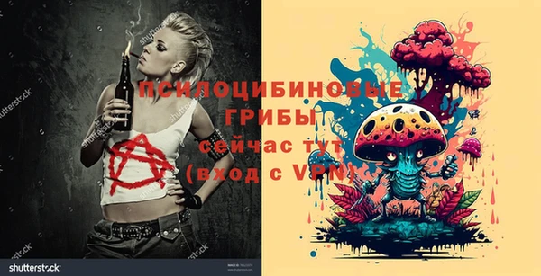 МДПВ Карпинск