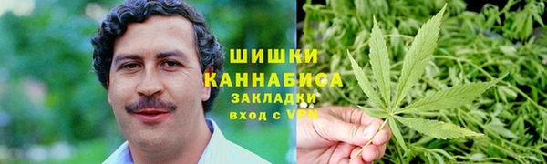 МДПВ Карпинск