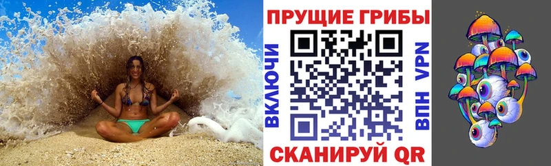 Купить закладки  Хвалынск  Галлюциногенные грибы Cubensis 